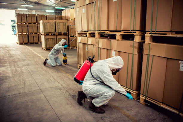 Best Rat Extermination Near Me  in Alvarado, TX