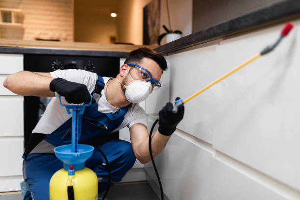Best Wasp Removal Services  in Alvarado, TX