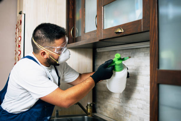 Best Flea Control Services  in Alvarado, TX