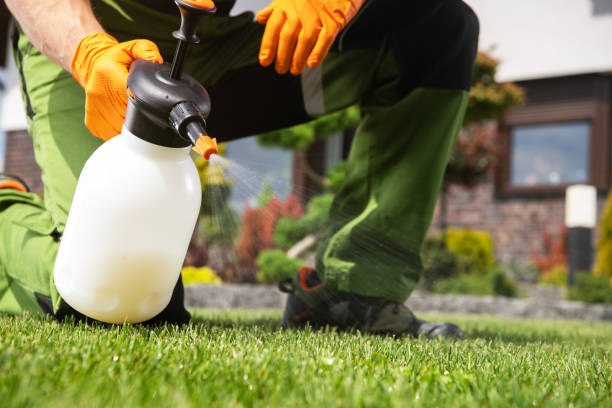 Best Pest Control Treatment  in Alvarado, TX