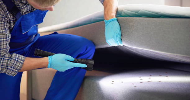 Best Cockroach Control Services  in Alvarado, TX