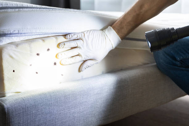Best Pest Prevention Services  in Alvarado, TX