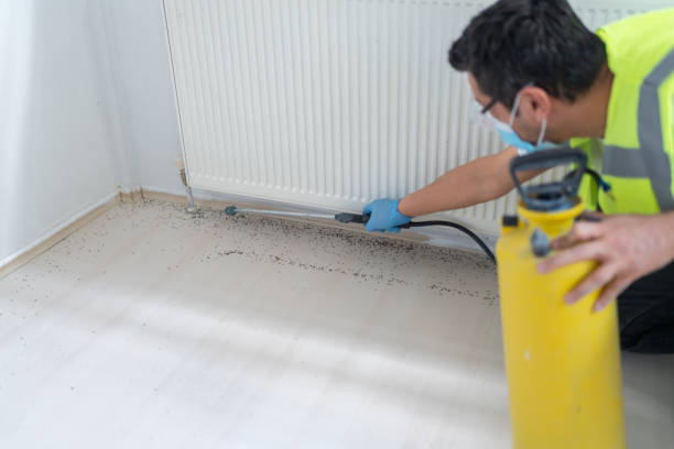 Best Pest Inspection Near Me  in Alvarado, TX