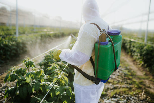Best Bed Bug Extermination  in Alvarado, TX